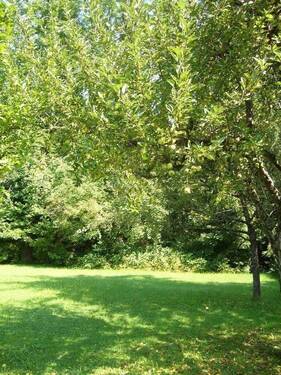 Garten Bild 2.jpg - Grundstück in Bruckmühl