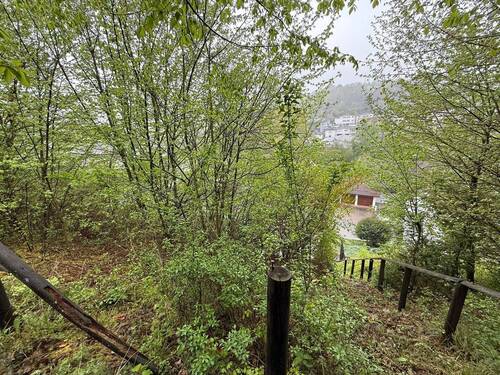 Garten - 