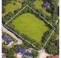 Exklusives Parkgrundstück mit 3697 m² in bestlage Grünwald bei München