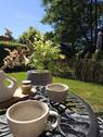 Bild 10 - 