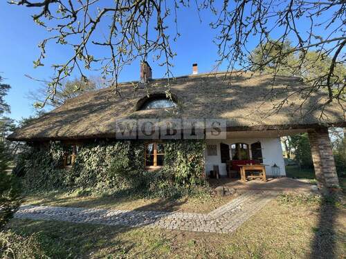 Hausansicht - Reetdach-Idyll am Oderhaff - Ruhe und Natur pur - PROVISIONSFREI