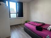 Zimmer 3 - 