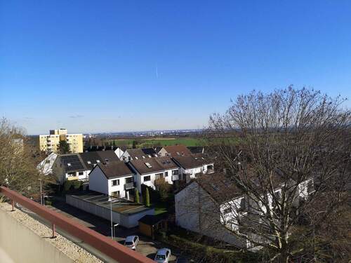 IMG_20260225_143659 - 