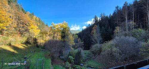 OG_Aussicht vom Balkon 2 - 8 Zimmer Mehrfamilienhaus, Wohnhaus in Bad Wildbad