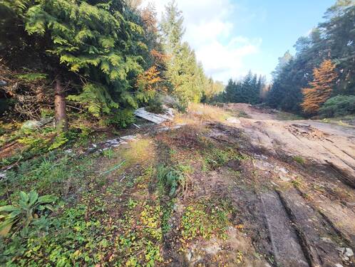 Grundstück - Grundstück zum Kaufen in Thören