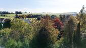 Ausblick vom Balkon - 