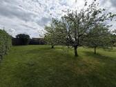 ebene Wiese mit Obstbaumbestand - 