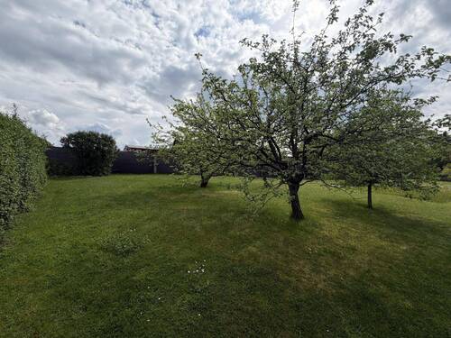 ebene Wiese mit Obstbaumbestand - 