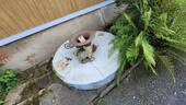 Brunnen - 