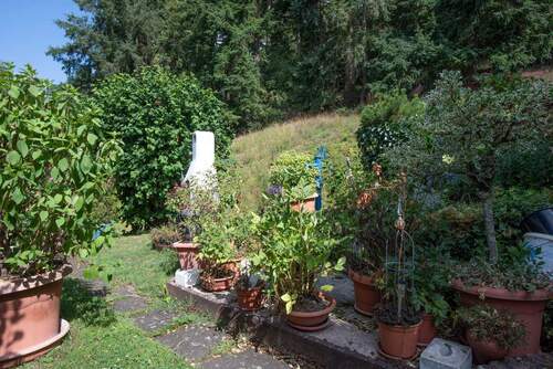 Garten - 