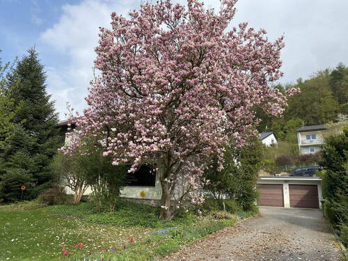 Außenansicht - Zweifamilienhaus mit herrlichem Grundstück in ruhiger Lage!