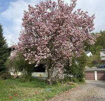 Zweifamilienhaus mit herrlichem Grundstück in ruhiger Lage! - Pettendorf Reifenthal