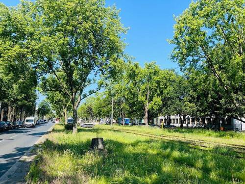 Bild 3 - 5 Zimmer Etagenwohnung in Berlin