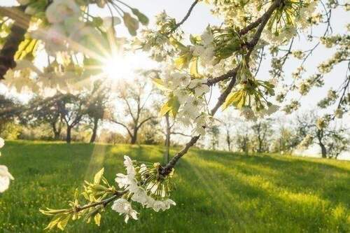 Naturumgebung - 