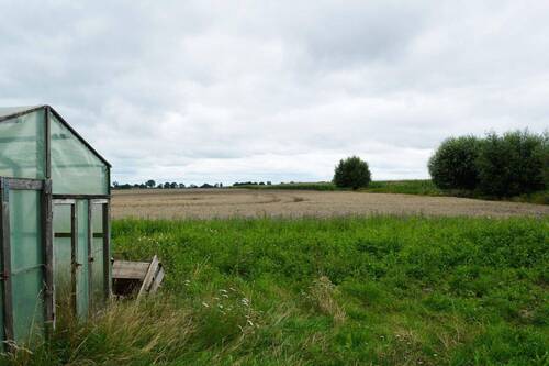 Acker-Blick von der Scheune - 