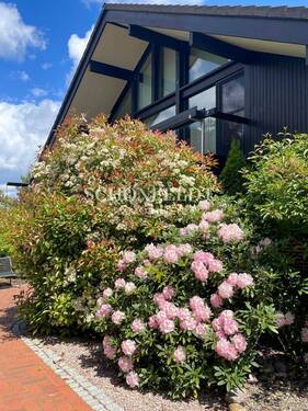 Wunderschöner Empfang - 