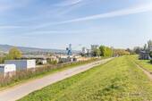 Rheindamm / Umgebung - 