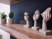 Home Office Echtholzregale - 