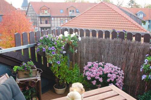 Balkon - 