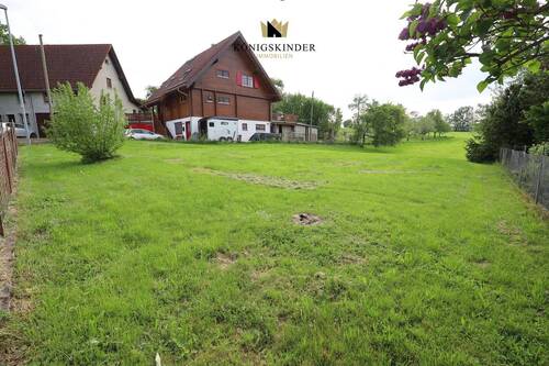Blick von der Straße - Grundstück in Horb am Neckar / Dettensee