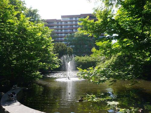 Parkanlage mit Teich - 