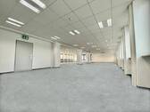 Einzeletage 300+ m² - 