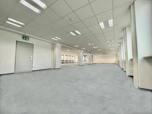 Einzeletage 300+ m² - 