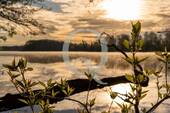 Bild 12 - 
