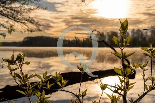 Bild 12 - 