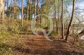 Bild 14 - 