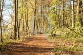Bild 16 - 
