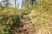 Bild 17 - 