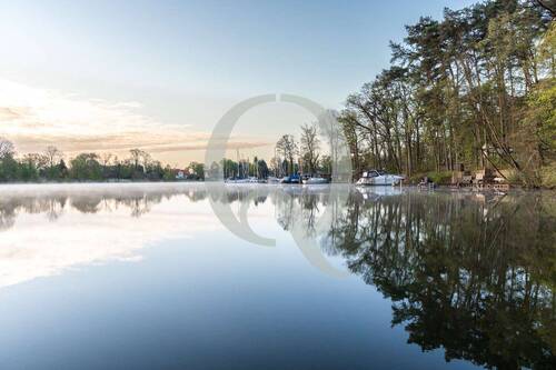 Bild 3 - Grundstück in Bad Saarow
