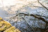 Bild 8 - 