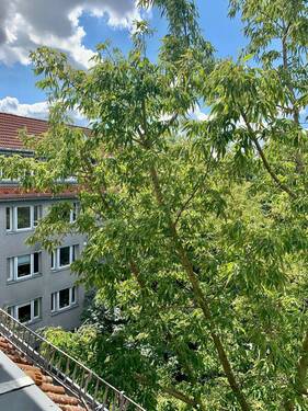 Ausblick - 