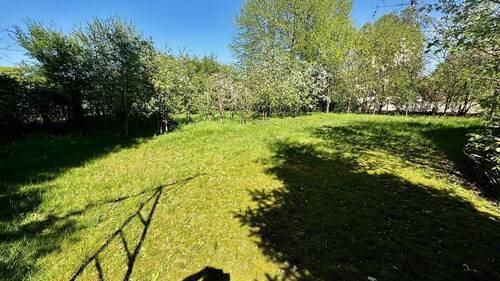 Garten hinten - 