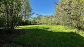 Garten hinten - 