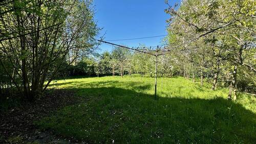 Garten hinten - 