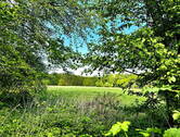 Blick auf die Wiese - 