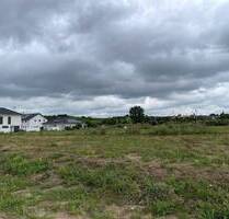 Bauplatz mit 435 qm in ruhiger Neubaulage - Hillesheim