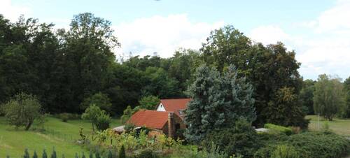 Ansicht Ost.JPG - 5 Zimmer Mehrfamilienhaus, Wohnhaus in Felixsee