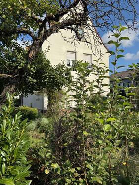 Seitenansicht mit Vorgarten - 1 Zimmer Mehrfamilienhaus, Wohnhaus zum Kaufen in Mainz-Kastel