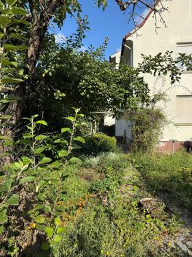 Gartengrundstück - 1 Zimmer Mehrfamilienhaus, Wohnhaus in Mainz-Kastel