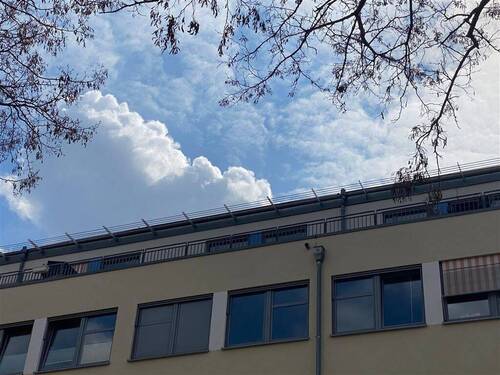 Blick zur Terrasse - 