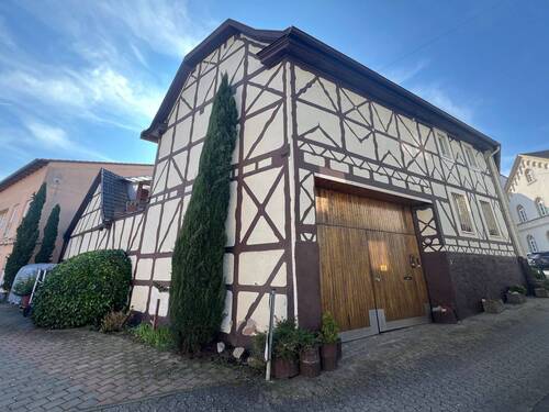 Rück- und Seitenansicht - Mehrfamilienhaus, Wohnhaus mit 214,90 m² in Windesheim zum Kaufen