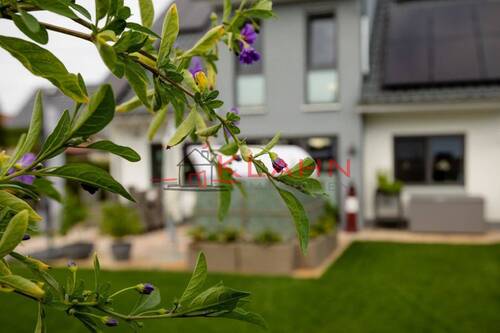 Ihr neues Zuhause - 4 Zimmer Einfamilienhaus zum Kaufen in Süsel