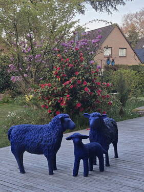Garten - 
