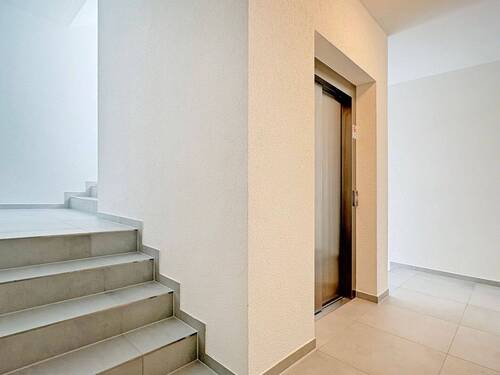 Treppenhaus - 