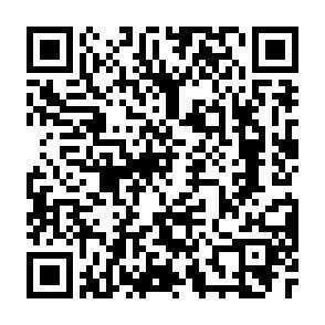 QR-Code - 