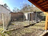 Hunde Garten - 